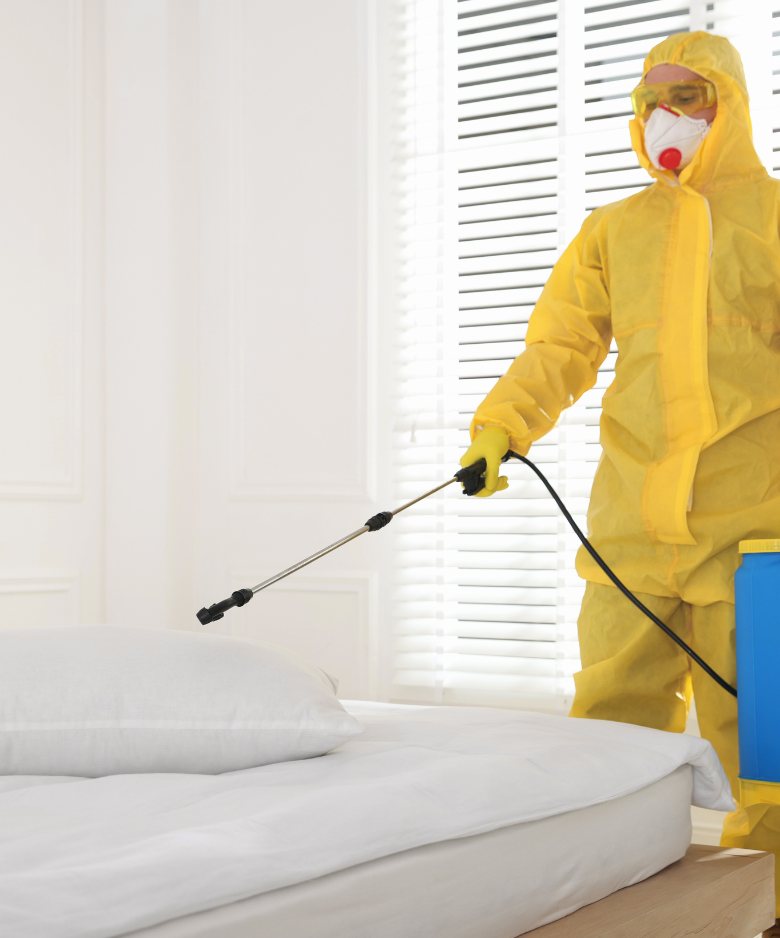 Professional Pest Control Team in Hallett Cove